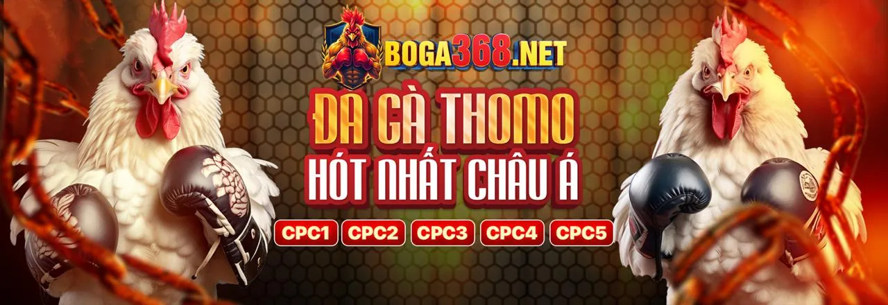 Hình ảnh chính về vnwin club, thể hiện không khí sôi động của cá cược trực tuyến